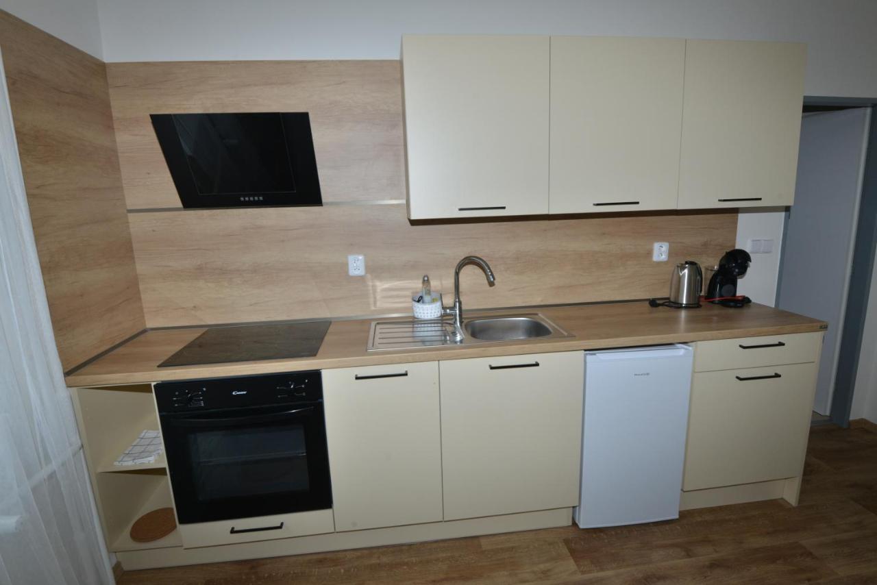 Apartmany U Peslu Železná Ruda Dış mekan fotoğraf