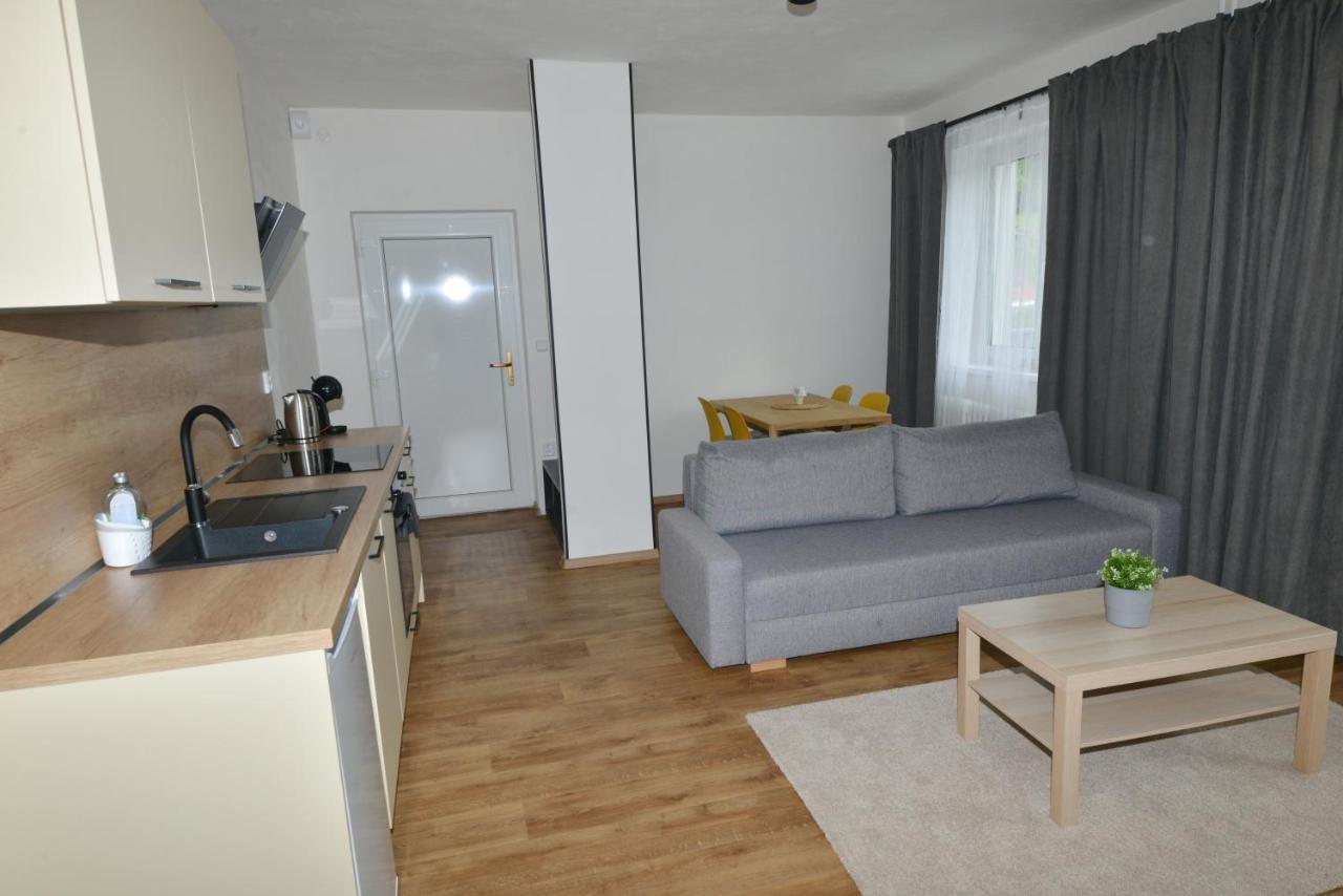 Apartmany U Peslu Železná Ruda Dış mekan fotoğraf